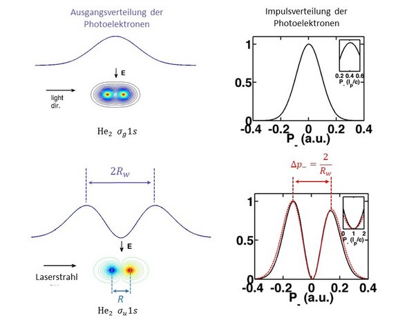 fig2_de.jpg 