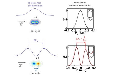 fig2.jpg 