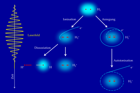 H2-Autoion_Abb-1.png 